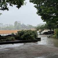 鰻割烹 伊豆栄 本店 - 