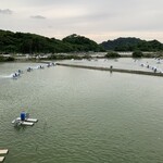 くるまえびキッチンTAMAYA - 屋上にも登れました。広大