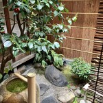 雪梅花 菜根譚 - 