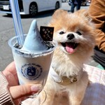 沼津深海プリン工房 - 