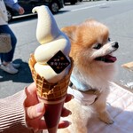 沼津深海プリン工房 - 