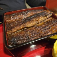 炭焼 うな富士 天白別邸 - 