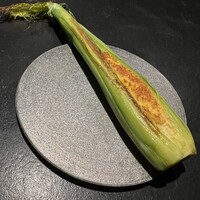 レフェルヴェソンス - 