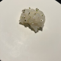 レフェルヴェソンス - 