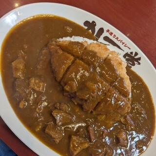 カレー堂_1