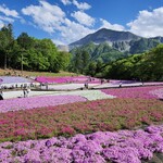 そば処 大むら - 