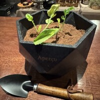 アペルシュ - 土の中に食べ物？
