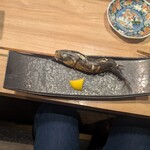 備長炉端 だいやめ 天満店 - イワシの原子焼き