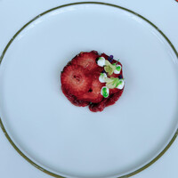 SALONE TOKYO - 