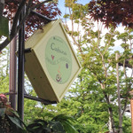 ナチュラル　カフェイーナ - newカンバン