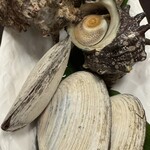 海鮮茶屋貝族料理みのしょう - 