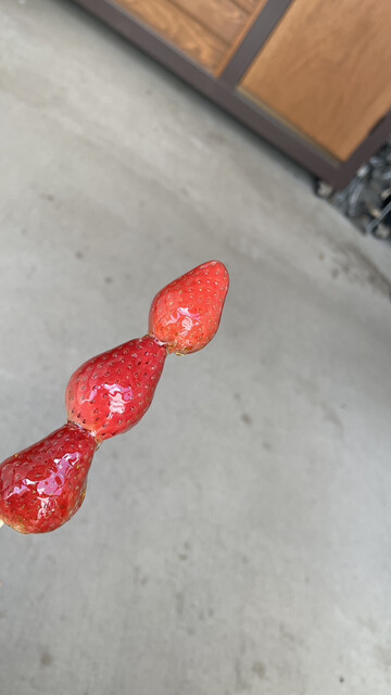 nagAya no Ame photo 2