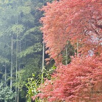 鎌倉山 本店 - 