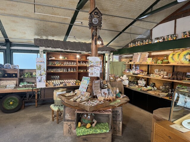 Kiwi Fruit Country JAPAN - Kikugawa/Sweets | Tabelog