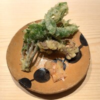 鮨 楽味 - コシアブラとホタルイカの天麩羅　