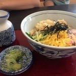 蕎麦酒彩吉兆庵 - 冷しタヌキ