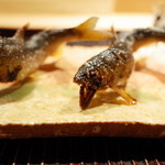 神楽坂 石かわ - 焼物 鮎の炭焼