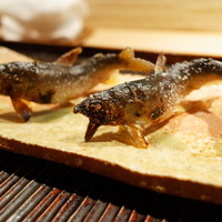神楽坂 石かわ - 焼物 鮎の炭焼