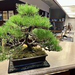 バー・ラウンジ グロット - 