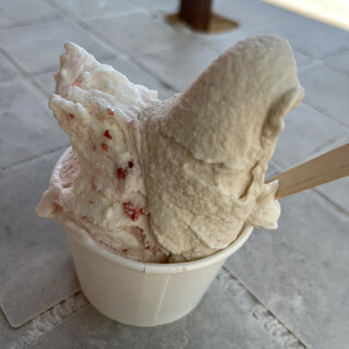 フェイスクリーム pipi フェイスクリーム pipi icecreamfactory PiPi - 町田市相原町