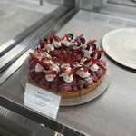 フォルテシモ アッシュ - 