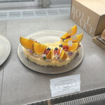 フォルテシモ アッシュ - 