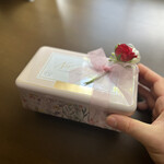 フォルテシモ アッシュ - 