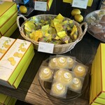 フォルテシモ アッシュ - 