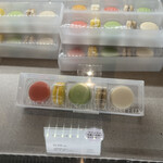 フォルテシモ アッシュ - 