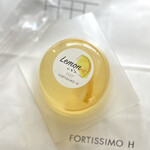 フォルテシモ アッシュ - 