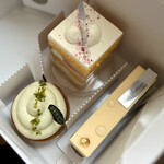 フォルテシモ アッシュ - 