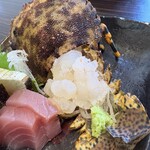 西郷食堂 - ゾウリエビ