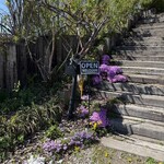 ル・パステ - 入口の階段　芝桜がキレイ