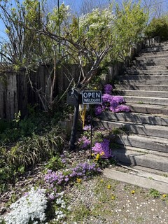 ル・パステ - 入口の階段　芝桜がキレイ