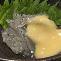 土佐料理 司 高知本店 - 