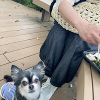 アクイラ・ウォランス - 