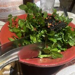 丸鶏 るいすけ - 