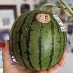 すいかの里 植木 - キズありということでご家庭用として売っていたものです。こんなキズはなんてことありません。