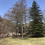 ホテル鹿島ノ森 - 大きな木がたくさん