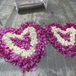 ユートピアファーム宮古島 - 