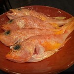 スーツァンレストラン陳 - 