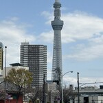 ボナ・フェスタ - 