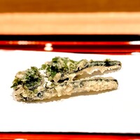 てんぷら 近藤 - コゴミ。 季節の香りと味わいを強烈に、ダイレクトに伝えることができるのが天ぷらのいいところ。