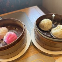 CANTON8 銀座店 -  CANTON8 銀座店 -