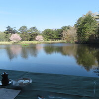 ボーセジュール - 窓外の景色