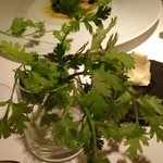 レストラン コバヤシ - 2014.7 魚料理用のパクチー