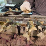 柳家錦 - 和良鮎を備長炭で焼いて行きます