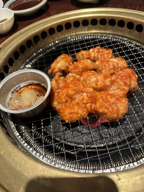 Sumibi Yaki Shichirin photo 5