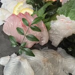 中洲 あほう鳥 - 