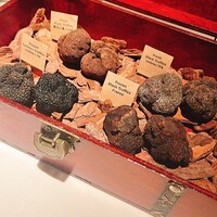 Terres de Truffes, Tokyo - 